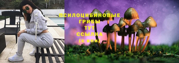скорость mdpv Алексеевка
